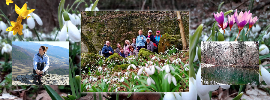 Активный тур на 8 марта в Крыму