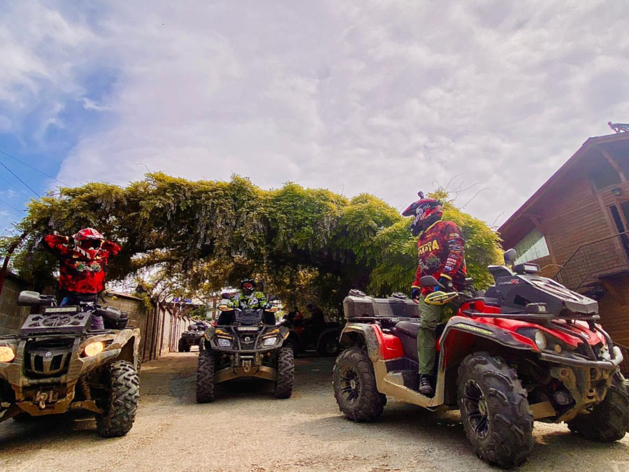 эко отели крыма на берегу моря алушта фото