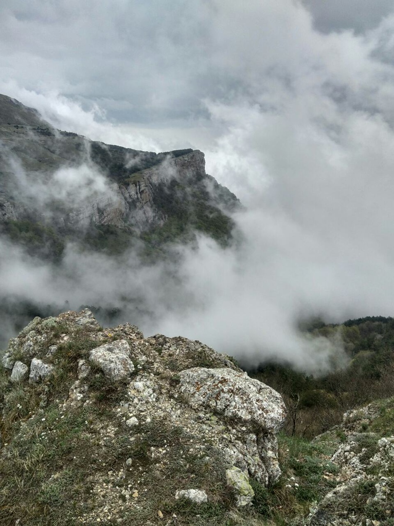 отдых под Алуштой с ребенком – Демерджи фото